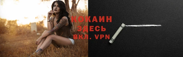прущие грибы Нефтекумск