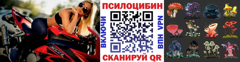 Псилоцибиновые грибы мухоморы  Северо-Курильск 
