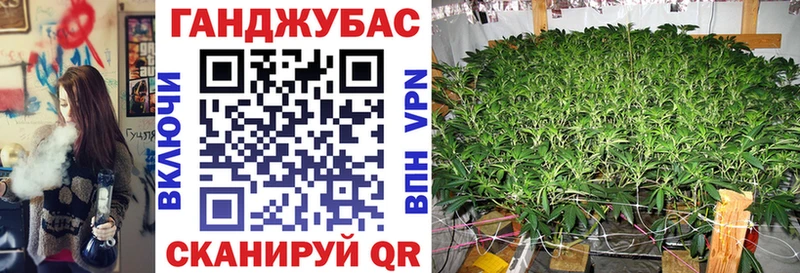 Бошки Шишки ГИДРОПОН  купить закладку  Северо-Курильск 